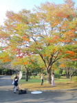CA3C04590001.jpg